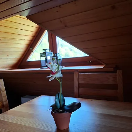 Apartman Apartment-kozelj *